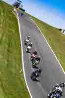 Middle Group Black Bikes